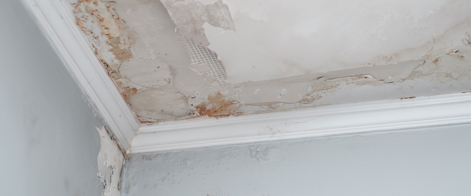 Can you fix water damage by yourself?