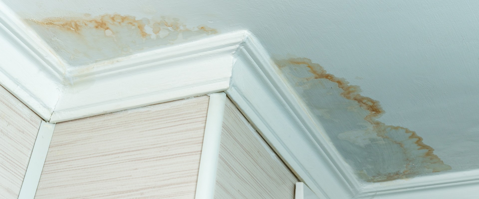 Can you paint over water damaged walls?