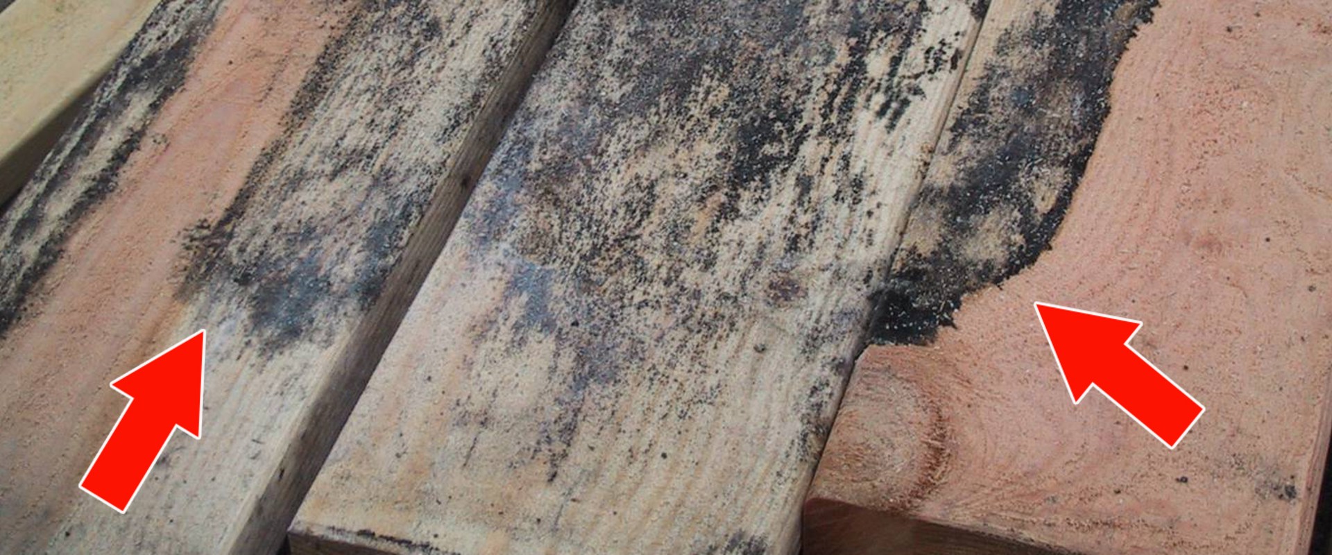 Can water damaged wood be saved?