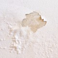 What do you do with water damaged drywall?