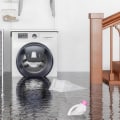 Who Cleans Up Water Damage in Basement? - A Guide for Homeowners