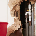 DIY Water Damage Restoration: How to Handle It Right
