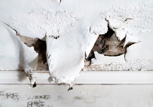 Can water damage in house make you sick?