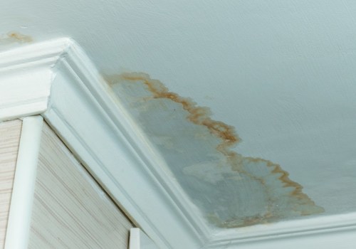 What happens if you paint over water damage?