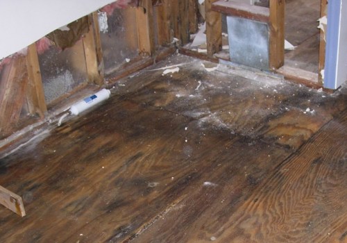 How to Fix Water Damage in Your Home
